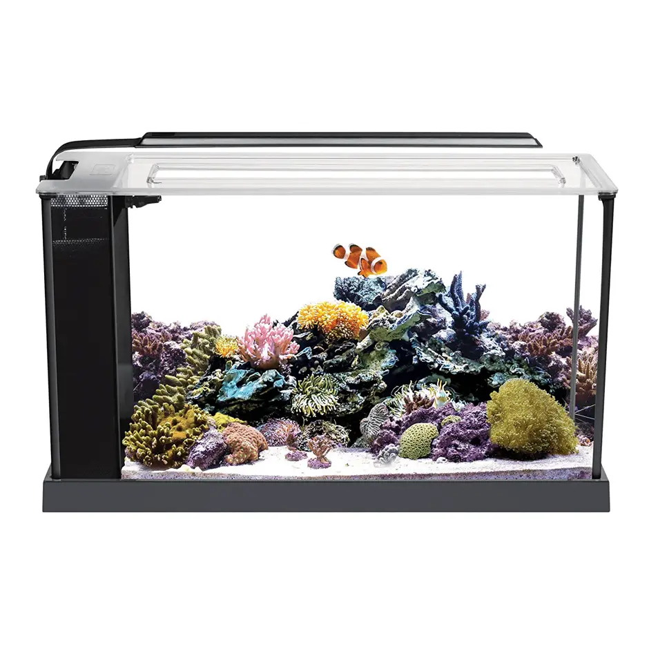 10 Best Small Saltwater Fish Tanks - aquariumdimensions