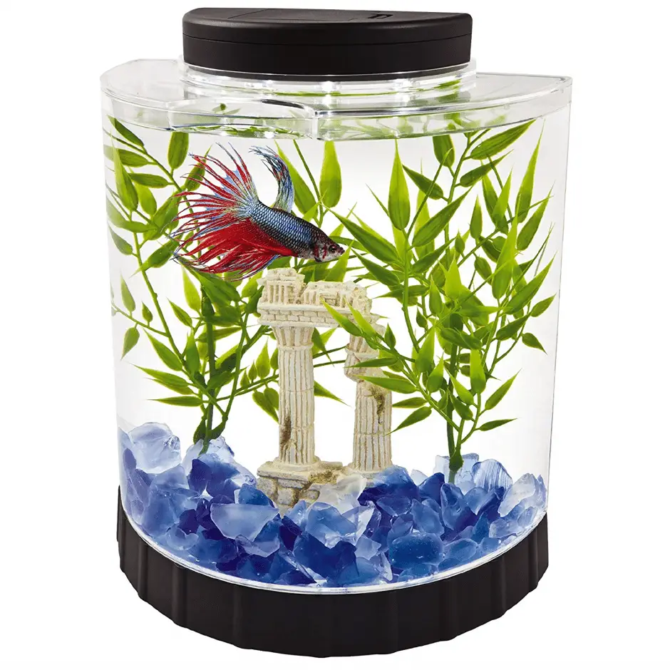 10 Best Office Fish Tanks - aquariumdimensions