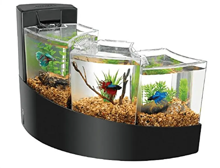 10 Best Office Fish Tanks - aquariumdimensions