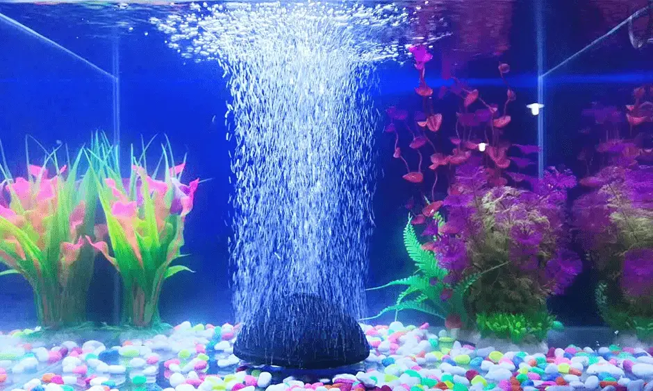 Aquarium Bubbler Setup - aquariumdimensions