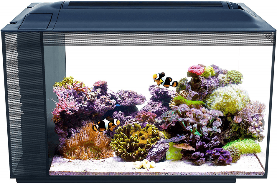 Saltwater Tanks For Beginners - Aquarium Dimensions