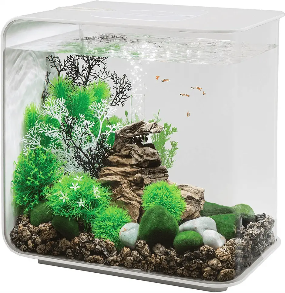 Best Fish Tank Kit - aquariumdimensions