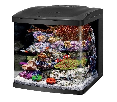 All In One Saltwater Aquarium Kit - Aquariumdimensions