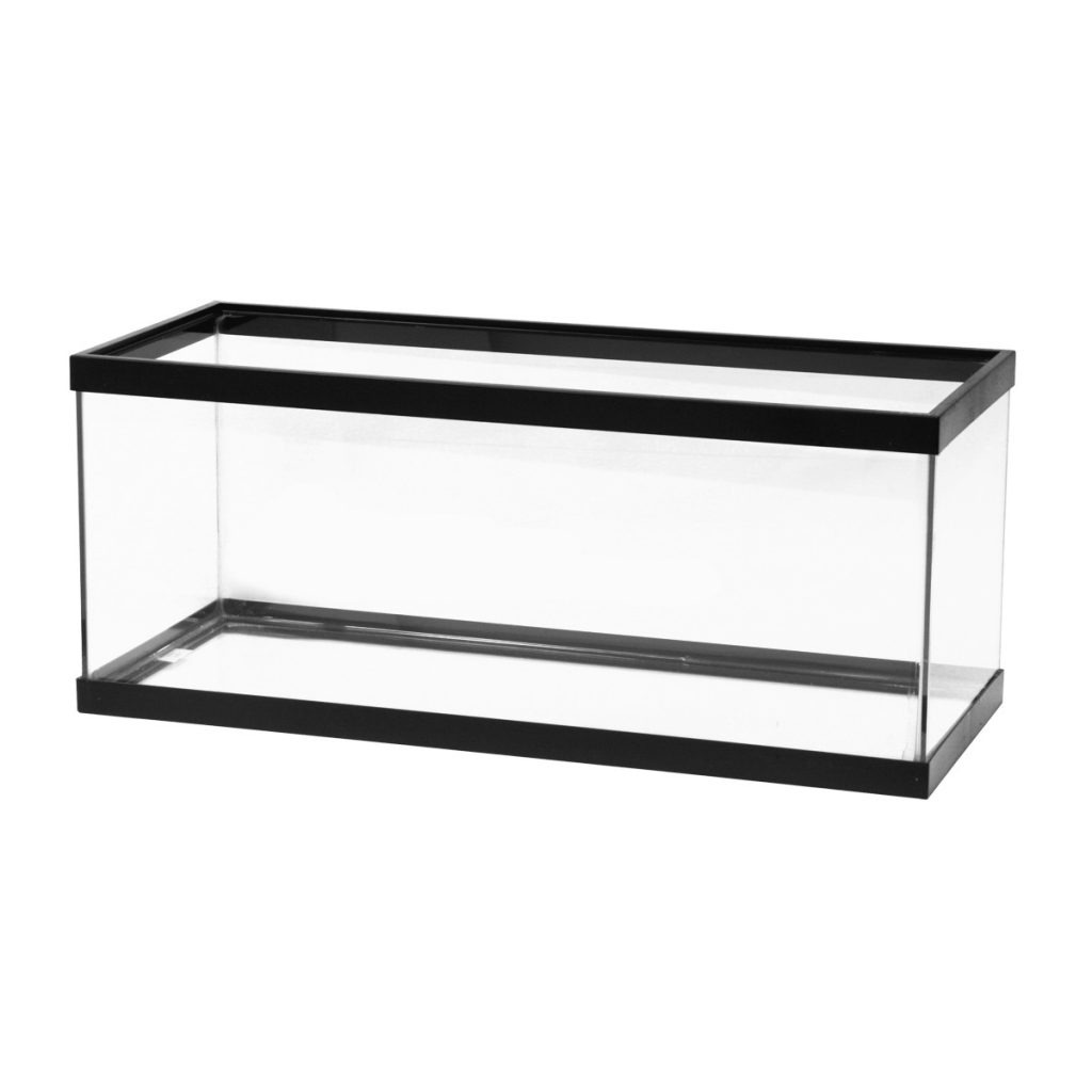 20-gallon-long-aquarium-review-aquarium-dimensions