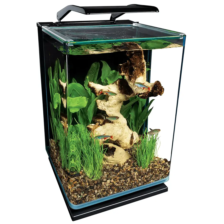 10 Best Office Fish Tanks - Aquarium Dimensions