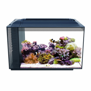 fluval 13.5 gallon evo xii marine aquarium kit