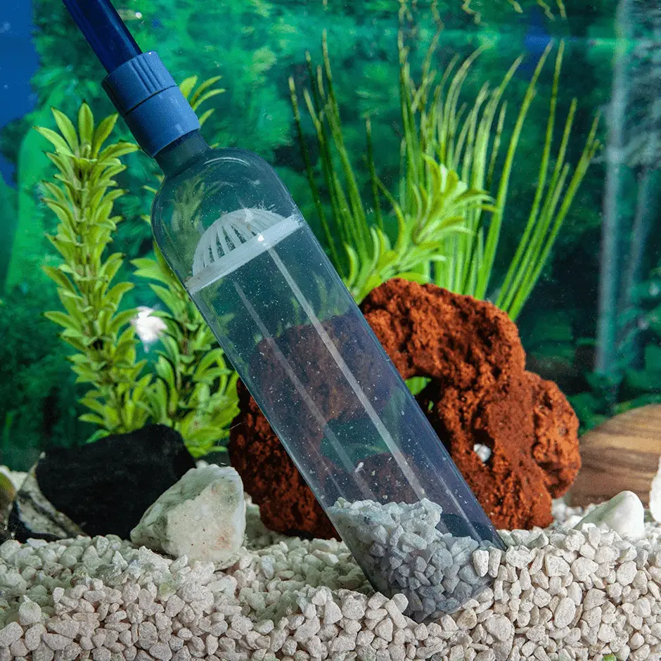 how to keep fish tank clean