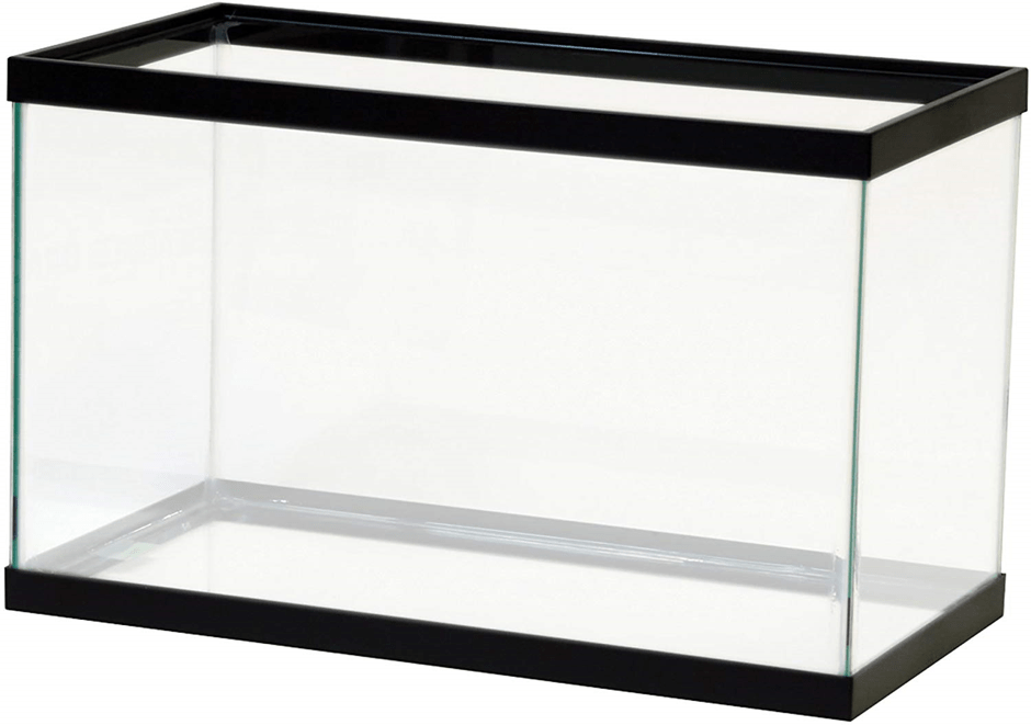 Saltwater Tanks For Beginners - Aquarium Dimensions