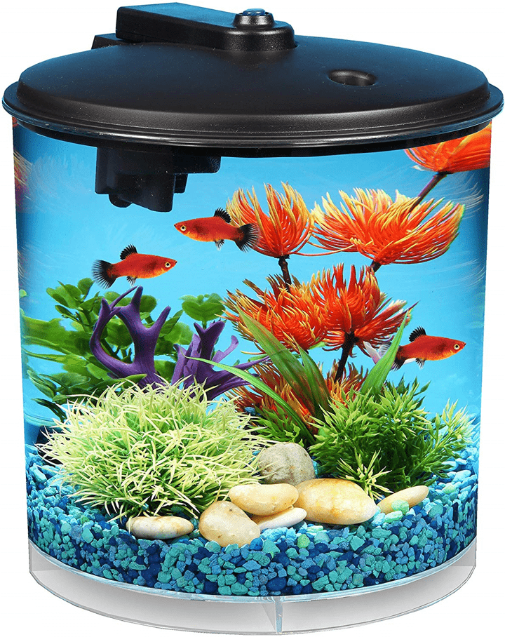 Best Fish Tank Kit - Aquarium Dimensions