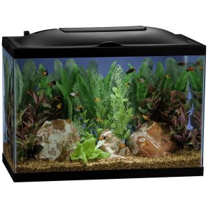 Glass Fish Tanks - Aquarium Dimensions