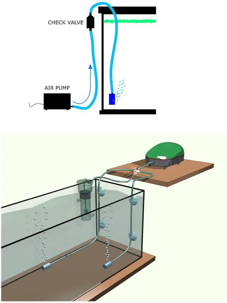 aquarium bubbler setup diagram