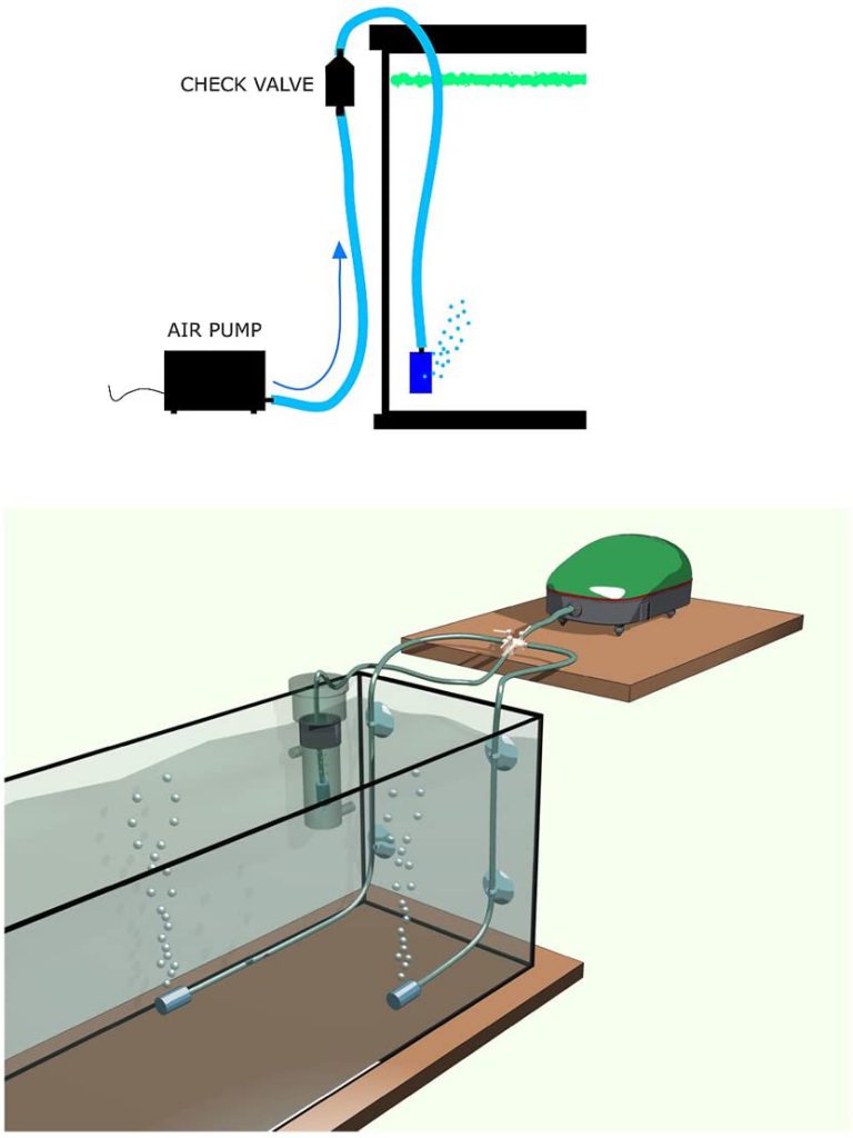 aquarium bubbler setup diagram