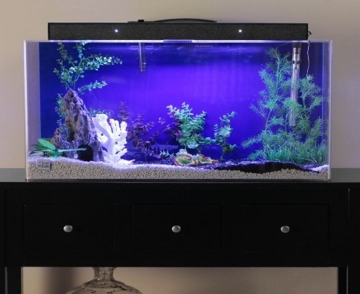 100 Gallon Fish Tanks - 100D 100 Gallon Fish Tanks Clear For Life 100r Rectangle Acrylic Quarium