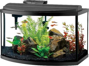 bow front aquarium sizes Fluval Deluxe Vista 16 Gallon