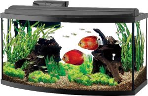 bow front aquarium sizes Aqueon Deluxe LED kit 36 gallon