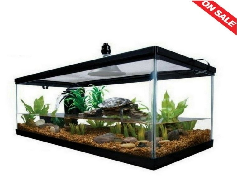 Best Turtle Tanks - Aquarium Dimensions