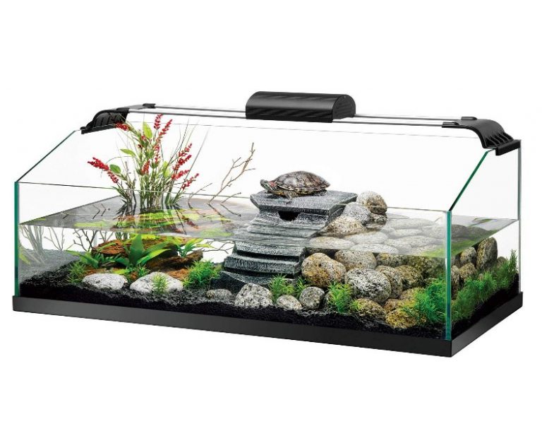 Best Turtle Tanks - Aquarium Dimensions