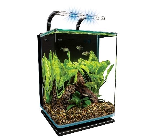 Best Nano Aquariums - Aquarium Dimensions