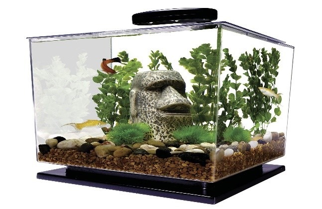 Best Nano Aquariums - Aquarium Dimensions