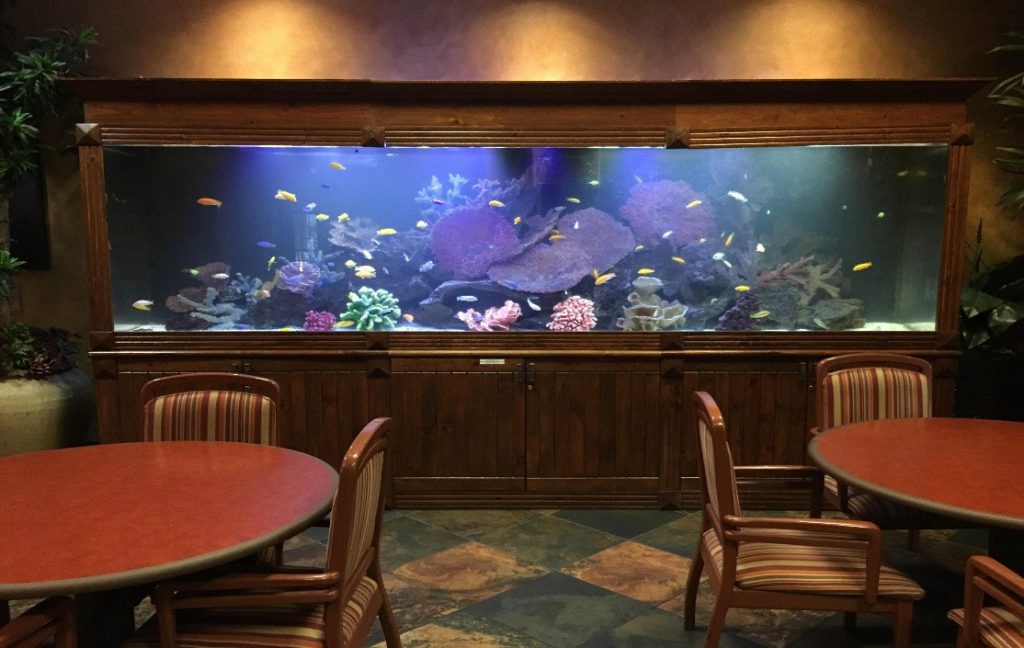 1000-gallon-fish-tank-aquarium-dimensions