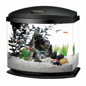 bow front aquarium sizes Aqueon minibow LED Starter Kit 5 Gallon