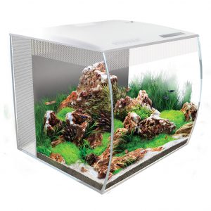 bow front aquarium sizes Fluval Flex 15 Gallon Glass Kit