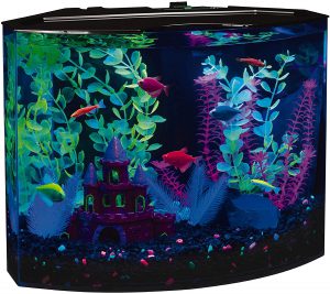 bow front aquarium sizes glofish kit fish tank LED filtration 3 gallon