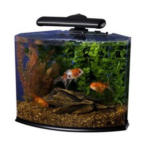 bow front aquarium sizes Tetra Crescent Kit 5 Gallon curved front LED