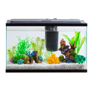 10 gallon aquarium review Aqua Culture Starter Kit with LED