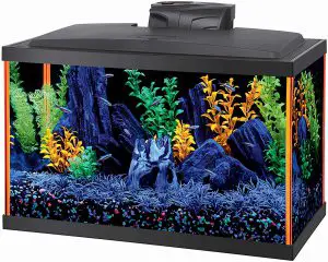 10 gallon aquarium review Aqueon Fish Aquarium Starter Kits LED Neoglow