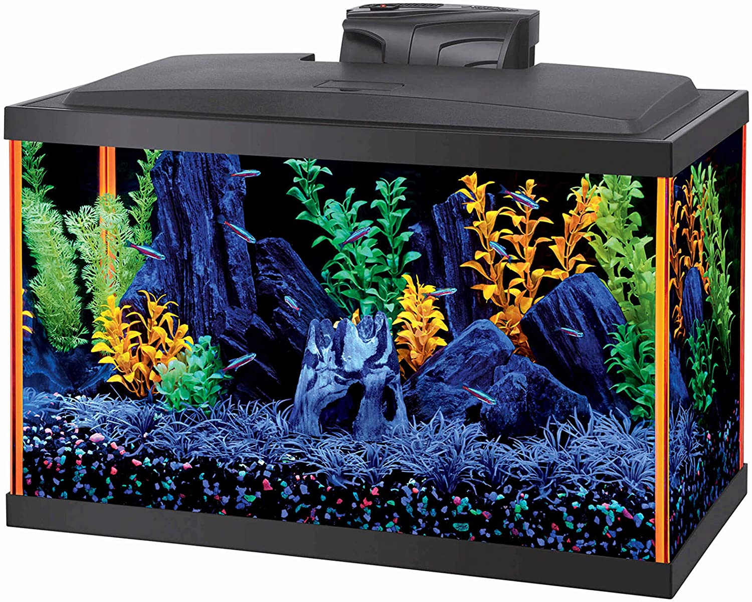 10 Gallon Aquarium Review - 10 Gallon Fish Tank Review Aqueon Fish Aquarium Starter Kit LeD Neoglow