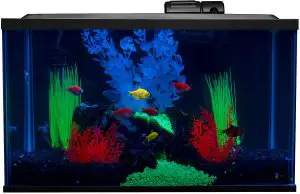 10 gallon aquarium review Glofish aquarium kit with LED lighting and filtration