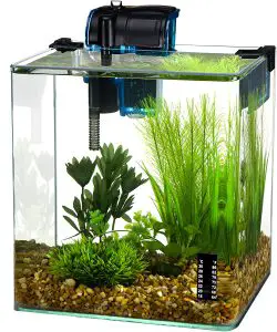 10 gallon aquarium review Penn-Plax Water-Word Vertex Desktop Aquarium Kit