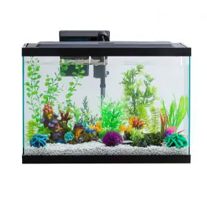 20 Gallon Long Aquarium Review Aqua Culture Fish Tank Starter Kit LED