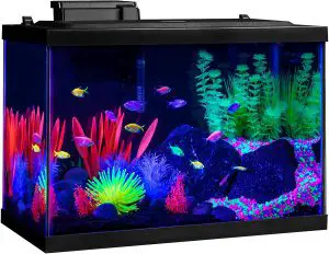 20 Gallon Long Aquarium Review Glofish Fish Tank Kit LED Filtration