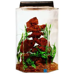 20 Gallon Long Aquarium Review Seaclear Acrylic Deluxe Hexagonal Fish Tank Combo Set