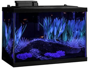 20 Gallon Long Aquarium Review Tetra Colorfusion Fish Tank Kit