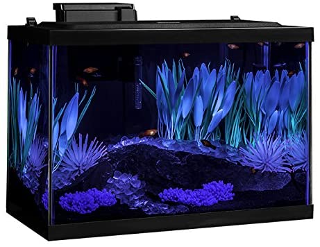 20 Gallon Long Aquarium Review - Aquarium Dimensions