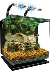 Marineland 65 gallon aquarium review Contour 3 LED Lighting